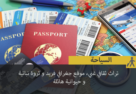 /ar-turizm.html